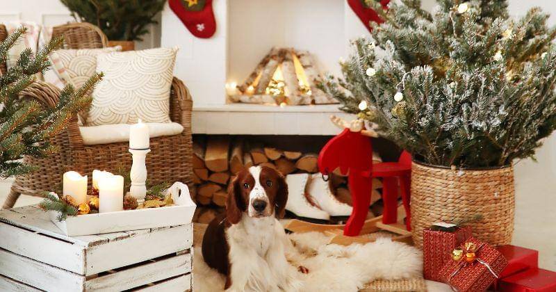 Freepik/Racool_studio